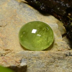 Sfene naturale verde da 5,04 ct, taglio ovale, traslucido