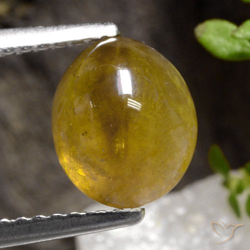 2.68ct Naturale Oro Sfene, Ovale, Traslucido