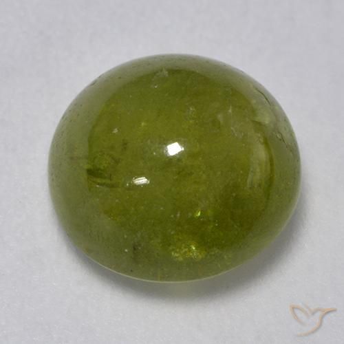 3.24ct Naturale Verde foresta Sfene, Rotondo, Traslucido