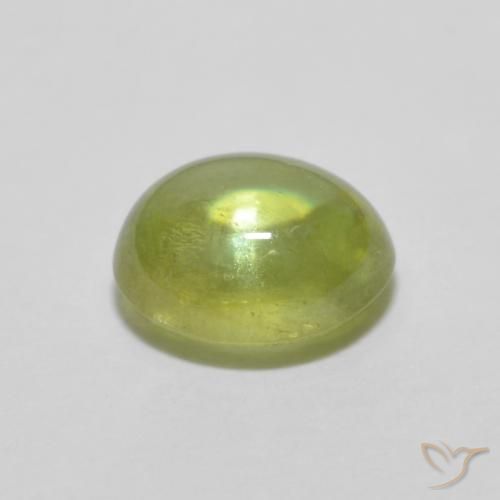 Sfene Caldo bosco verde naturale da 1.07 ct, Ovale, Trasparente