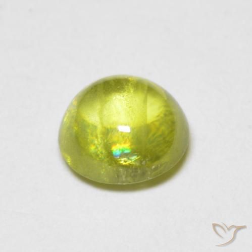Sfene Caldo bosco verde naturale da 0.85 ct, Rotondo, Trasparente