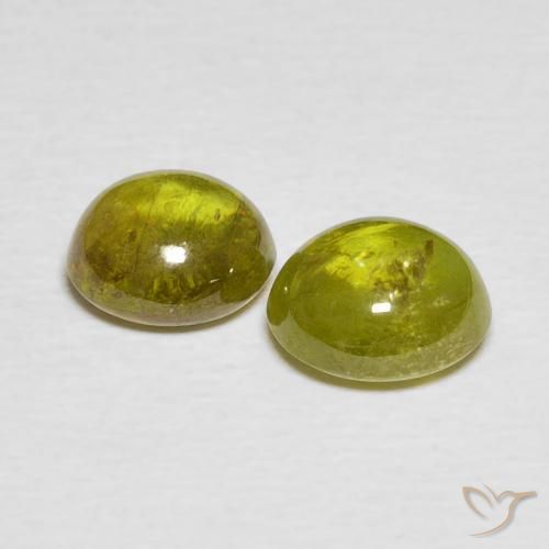Gemme di Sfene Caldo bosco verde naturale da 3.52 ct, Ovale, Trasparente