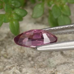 Spinello naturale viola da 0,62 ct, marchesa, VVS-VS