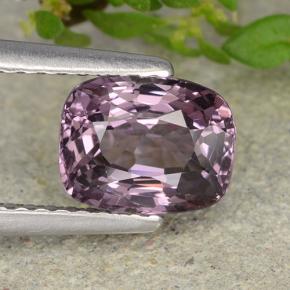 Spinello naturale porpora da 1,51 ct, taglio a cuscino, VVS-VS