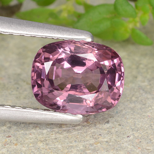 Spinello naturale porpora da 1,29 ct, taglio a cuscino, VVS-VS