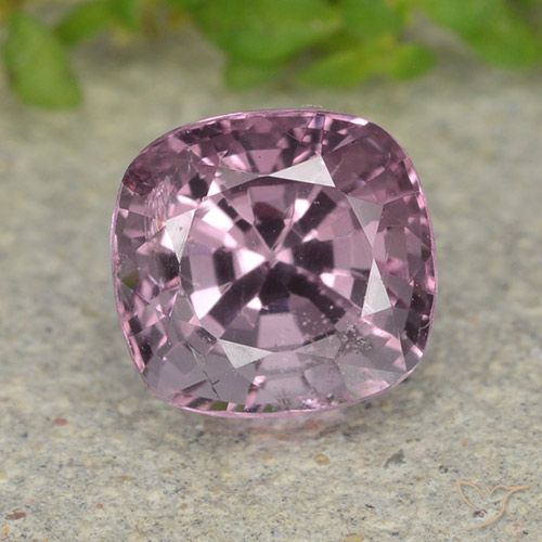1.55ct Naturale Tono malva profondo Spinello, Cuscino, VS