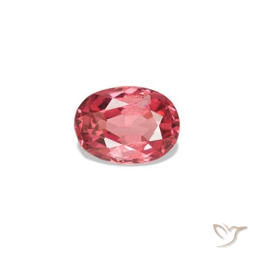 0.21ct Rosso scarlatto chiaro Spinello, Ovale, VVS