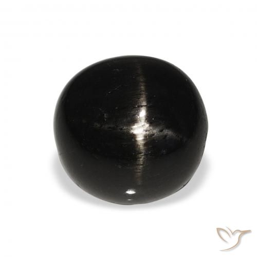6.00ct Naturale Nero Stella Diopside, Rotondo, Opaco