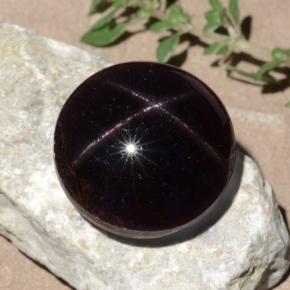 Granato stellato naturale rosso da 26,52 ct, taglio rotondo, opaco