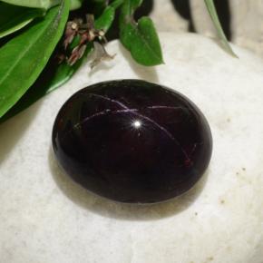 Granato stellato naturale nero da 31,18 ct, taglio ovale, opaco
