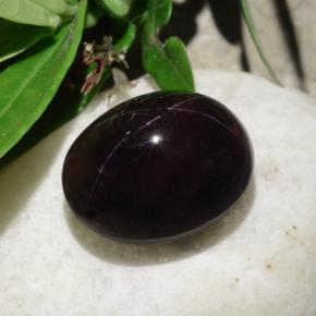 Granato stellato naturale nero da 31,18 ct, taglio ovale, opaco