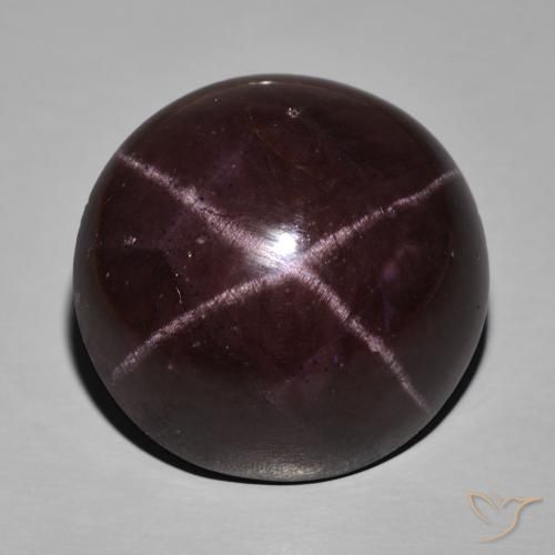 63.29ct Naturale Rosso scuro Granato stellato, Ovale, Opaco