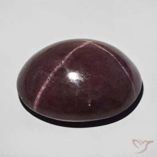 Granato stellato Rosso mogano naturale da 64.74 ct, Ovale, Opaco