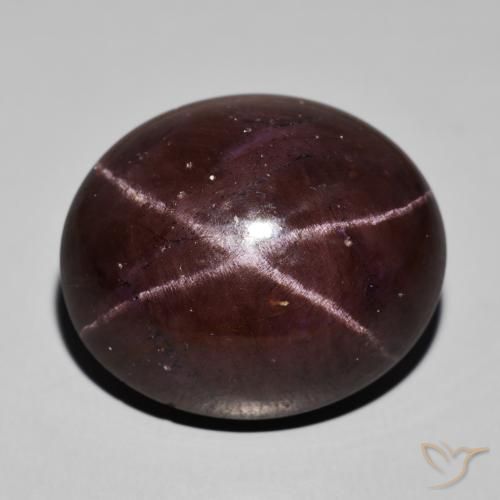 62.94ct Naturale Rosso scuro Granato stellato, Ovale, Opaco