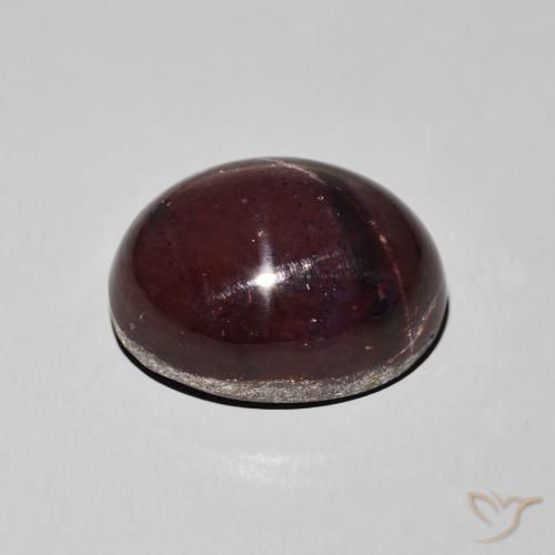 Granato stellato Rosso scuro naturale da 27.66 ct, Ovale, Opaco
