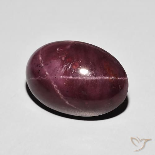Granato stellato Rosso scuro naturale da 17.39 ct, Ovale, Opaco