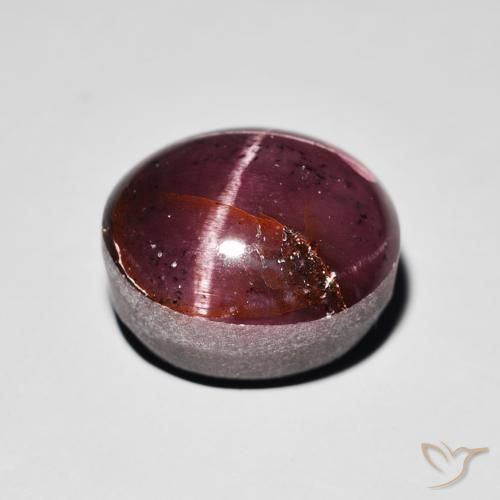Granato stellato Rosso mogano naturale da 15.64 ct, Ovale, Opaco