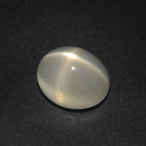 Pietra di luna stellata Color crema naturale da 12.51 ct, Trasparente, Trasparente/Traslucido