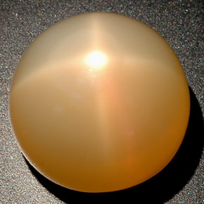 Pietra di luna stellata naturale crema da 25,04 ct, trasparente, trasparente/traslucido