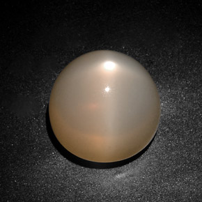 Pietra di luna stellata naturale crema da 28,75 ct, trasparente, trasparente/traslucido