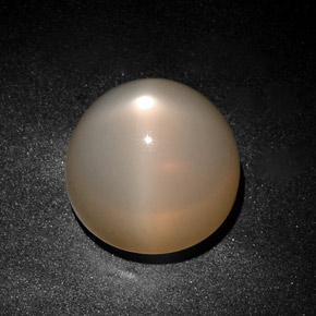 Pietra di luna stellata naturale crema da 28,75 ct, trasparente, trasparente/traslucido