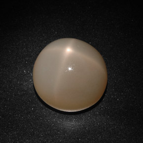 Pietra di luna stellata naturale crema da 22,41 ct, trasparente, trasparente/traslucido