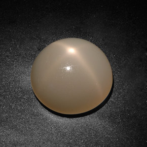Pietra di luna stellata naturale crema da 19,71 ct, trasparente, trasparente/traslucido