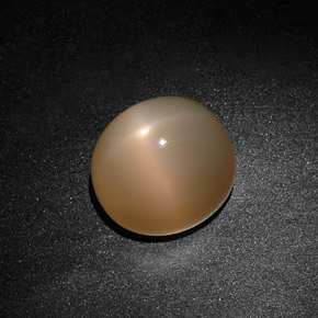 Pietra di luna stellata naturale crema da 15,59 ct, trasparente, trasparente/traslucido