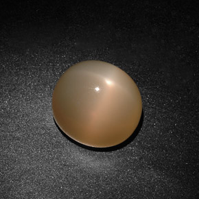 Pietra di luna stellata naturale crema da 15,59 ct, trasparente, trasparente/traslucido