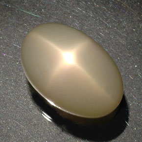 Pietra di luna stellata naturale crema da 34,17 ct, trasparente, trasparente/traslucido