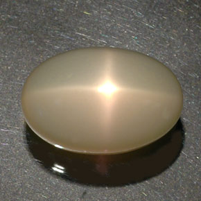 Pietra di luna stellata naturale crema da 34,17 ct, trasparente, trasparente/traslucido