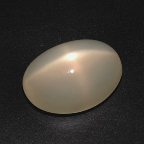 Pietra di luna stellata Color crema naturale da 16.55 ct, Taglio ovale, Traslucido