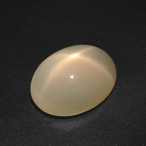 Pietra di luna stellata Arancione Crema naturale da 16.79 ct, Taglio ovale, Traslucido