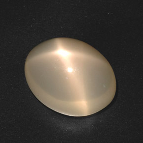 Pietra di luna stellata naturale crema da 17,40 ct, taglio ovale, traslucido