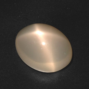 Pietra di luna stellata naturale crema da 17,40 ct, taglio ovale, traslucido