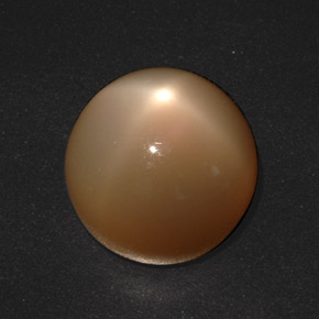 Pietra di luna stellata Arancione Crema naturale da 20.73 ct, Taglio rotondo, Traslucido