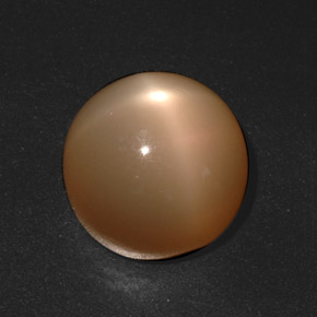 Pietra di luna stellata Arancione Crema naturale da 20.73 ct, Taglio rotondo, Traslucido