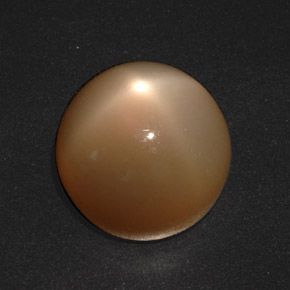 Pietra di luna stellata Arancione Crema naturale da 20.73 ct, Taglio rotondo, Traslucido