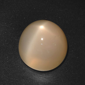 Pietra di luna stellata naturale crema da 21,40 ct, taglio rotondo, traslucido