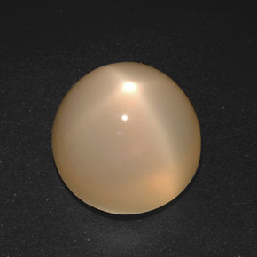 Pietra di luna stellata naturale crema da 21,40 ct, taglio rotondo, traslucido