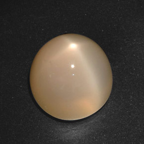 Pietra di luna stellata naturale crema da 21,40 ct, taglio rotondo, traslucido