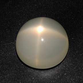 Pietra di luna stellata naturale crema da 12,96 ct, trasparente, trasparente/traslucido