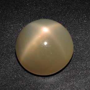 Pietra di luna stellata naturale crema da 11,49 ct, trasparente, trasparente/traslucido