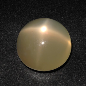 Pietra di luna stellata naturale crema da 11,49 ct, trasparente, trasparente/traslucido