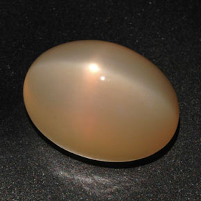 Pietra di luna stellata naturale arancione da 22,59 ct, taglio ovale, traslucido