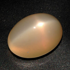 Pietra di luna stellata naturale arancione da 22,59 ct, taglio ovale, traslucido