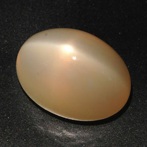 Pietra di luna stellata naturale arancione da 22,59 ct, taglio ovale, traslucido