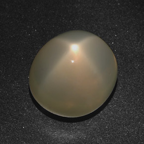 Pietra di luna stellata naturale crema da 16,01 ct, taglio ovale, traslucido