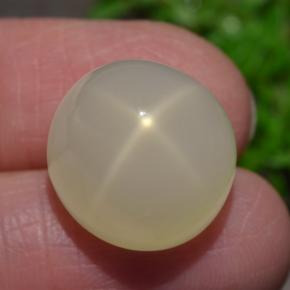 Pietra di luna stellata naturale crema da 15,93 ct, taglio ovale, traslucido