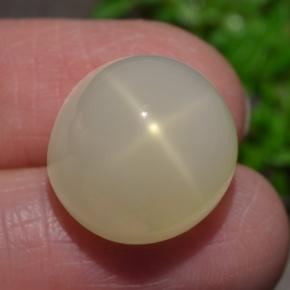 Pietra di luna stellata naturale crema da 15,93 ct, taglio ovale, traslucido